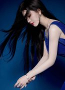 经对法国、、意大利、荷兰、西班牙、、、匈牙